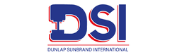 DSI Logo