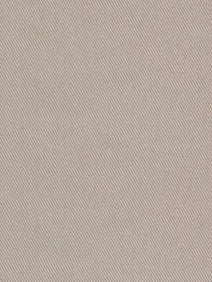 Success | Putty multipurpose fabric with solid design