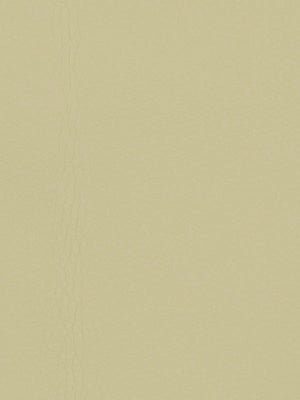 Coltin | Oatmeal upholstery fabric with solid design