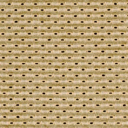 Spotted Dog | Domino drapery fabric with solid design