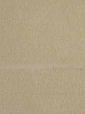 Elegant Sheer | Sand multipurpose fabric with solid design