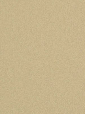 Ananzi | Ivory faux leather with solid design