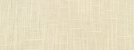 Slubbed Weave | Ivory multipurpose fabric with solid design