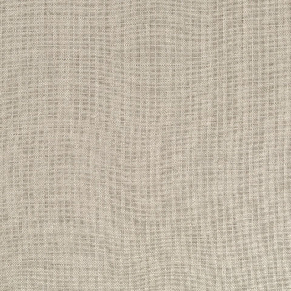 Stalwart | Driftwood multipurpose fabric with solid design