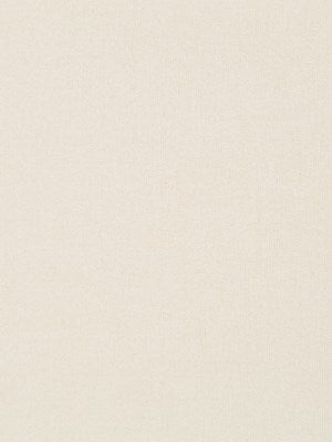 Lustrum Bk | Cream upholstery fabric with solid design