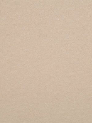 Solid Avenue | Natural upholstery fabric with solid design