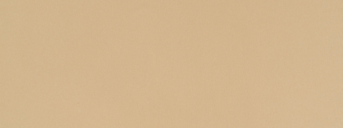 Chelan Falls | Beige multipurpose fabric with solid design