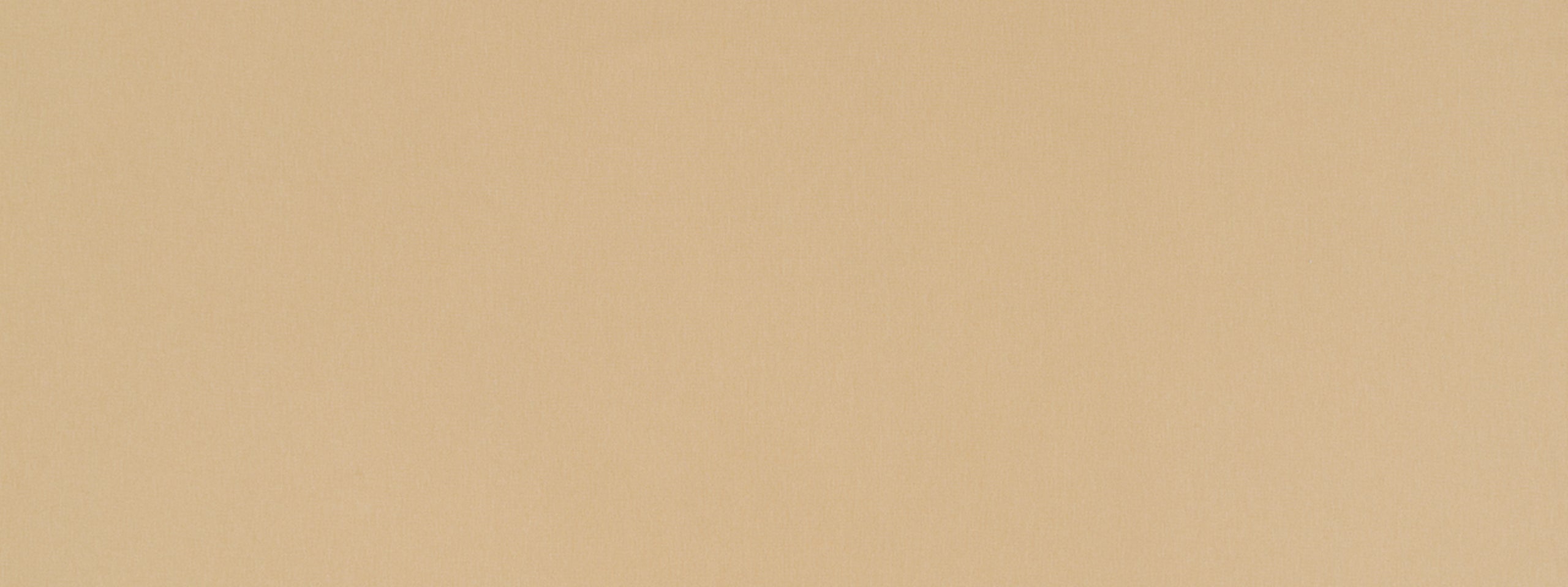 Chelan Falls | Beige multipurpose fabric with solid design