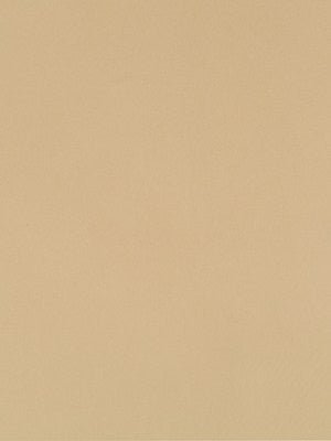 Chelan Falls | Beige multipurpose fabric with solid design