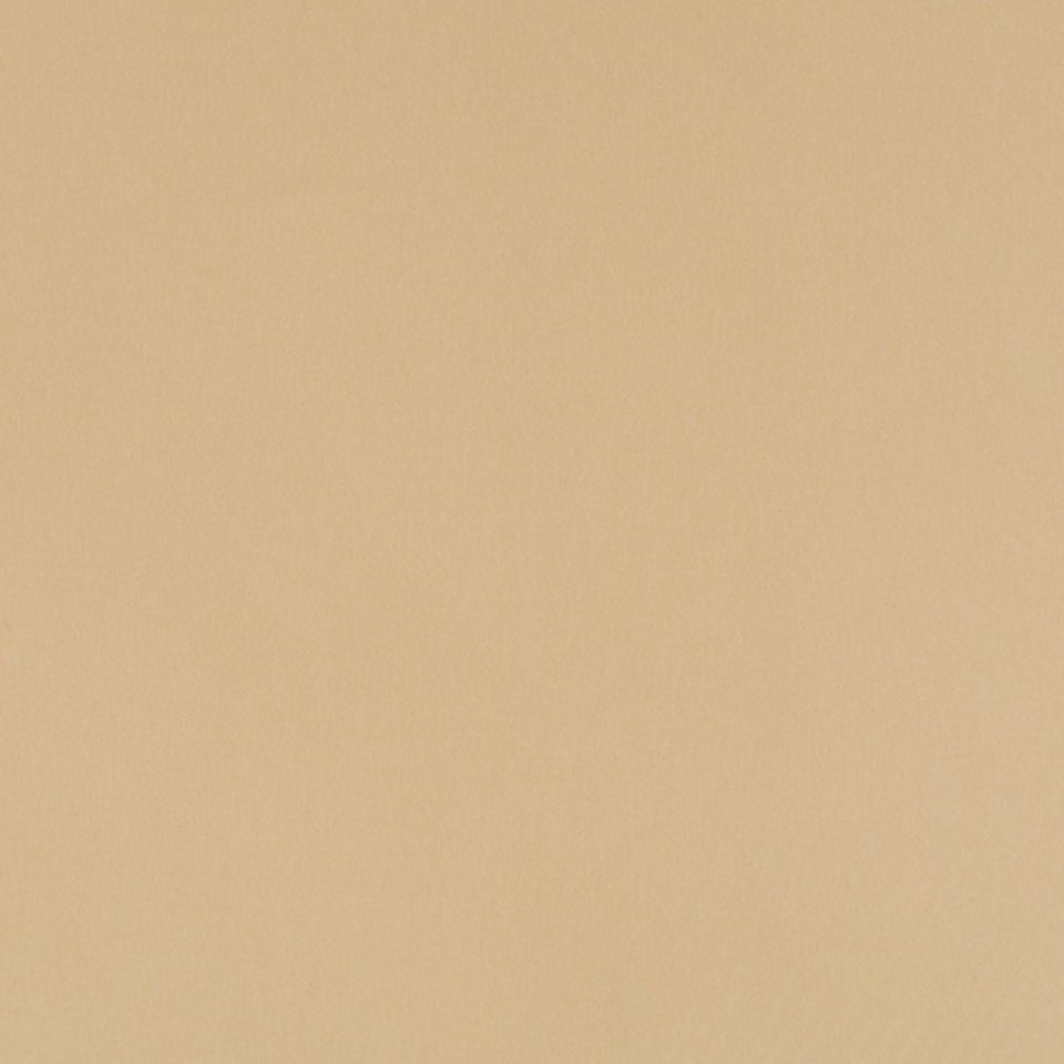 Chelan Falls | Beige multipurpose fabric with solid design