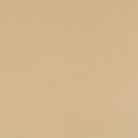 Chelan Falls | Beige multipurpose fabric with solid design