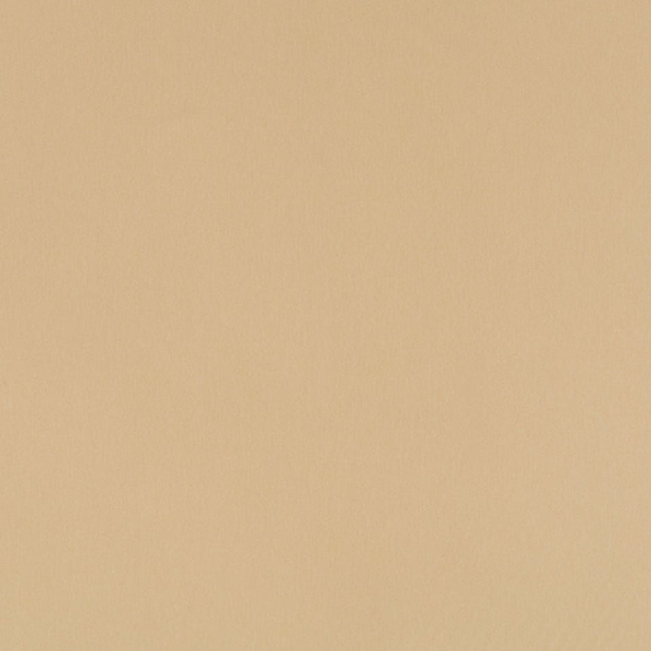 Chelan Falls | Beige multipurpose fabric with solid design