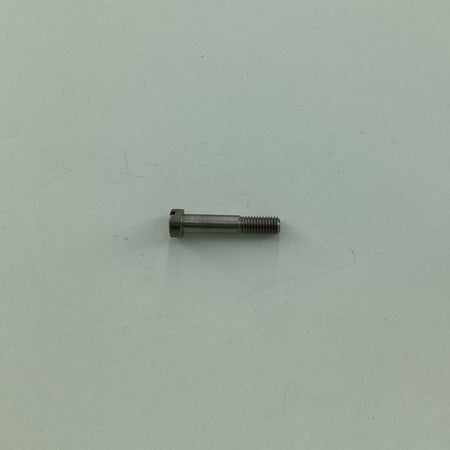 200009 SCREW