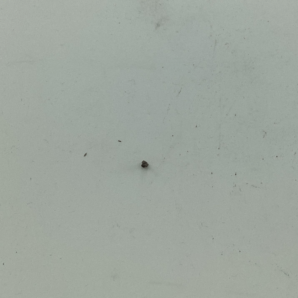 040-00001380 SET SCREW