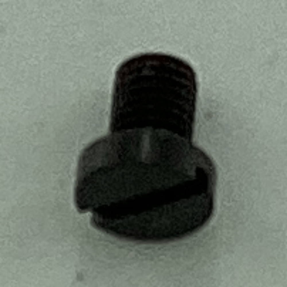 SS-6110670-TP FEED SCREW