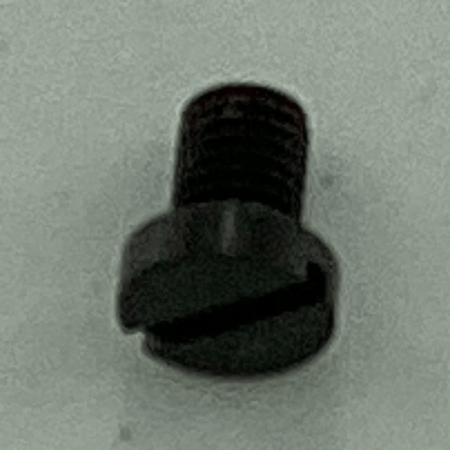 SS-6110670-TP FEED SCREW