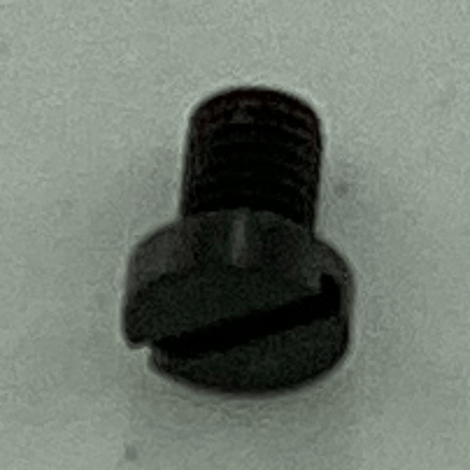 SS-6110670-TP FEED SCREW