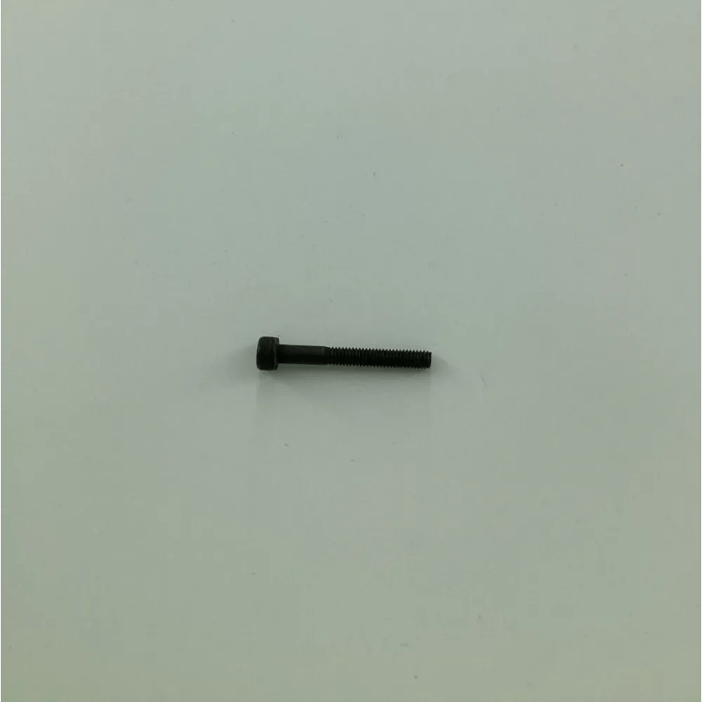 SM-6043202-TP SCREW