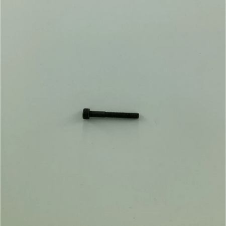 SM-6043202-TP SCREW