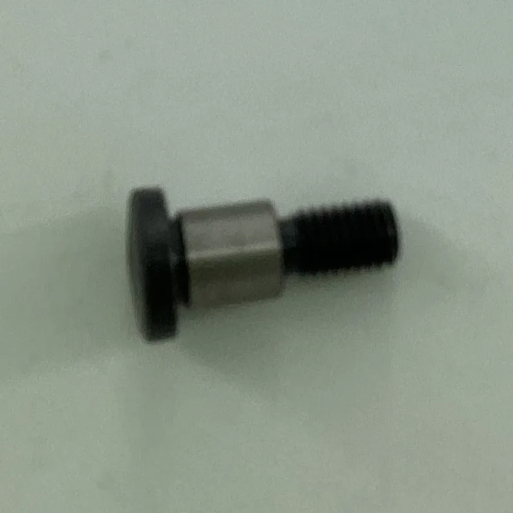 B-2348-180-000 HING SCREW