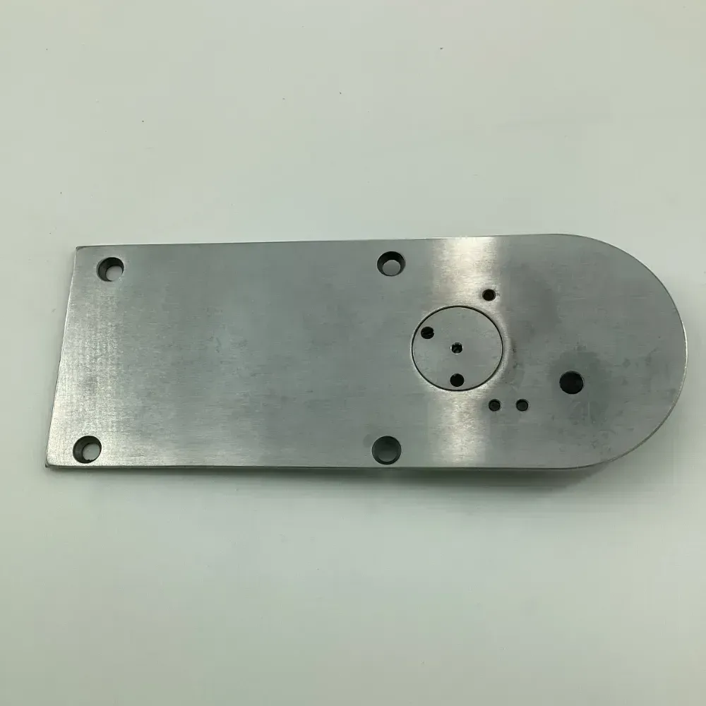 B-2425-210-DAB NEEDLE PLATE