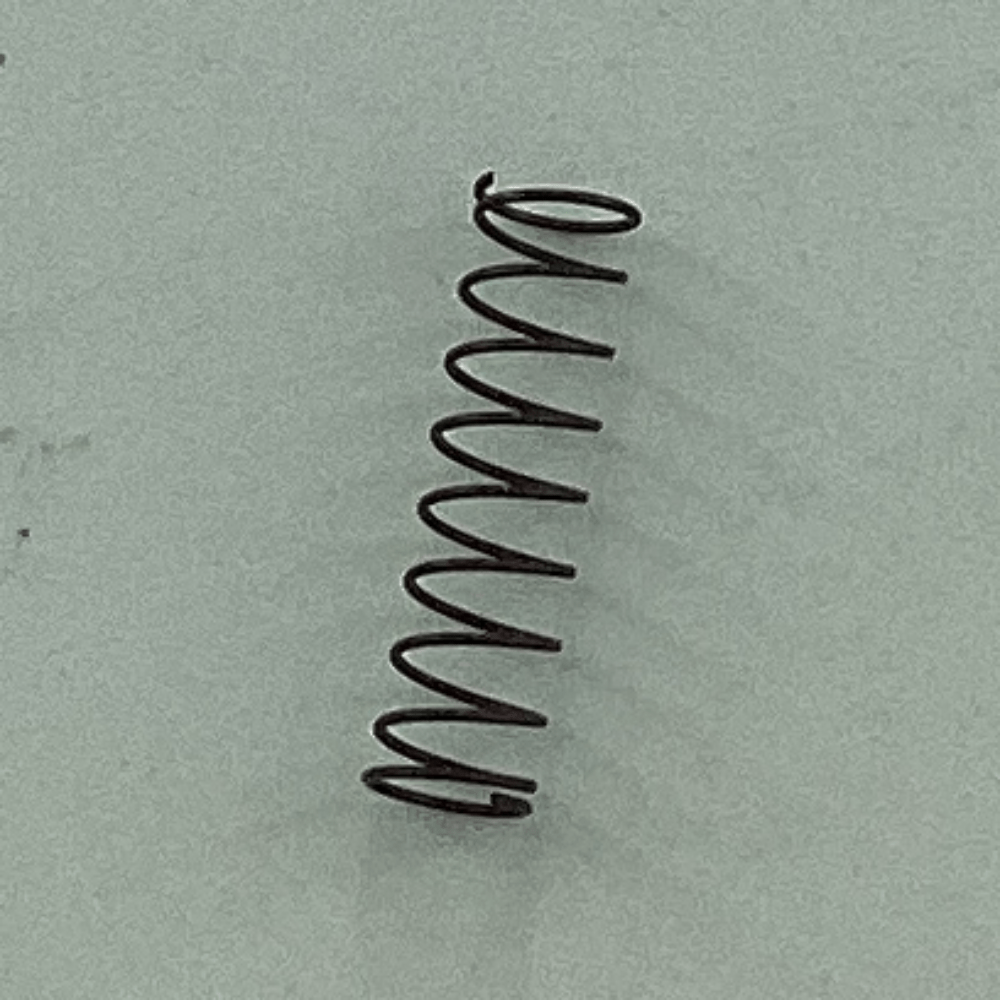 MAZ-08210000 REAR GUIDE SPRING
