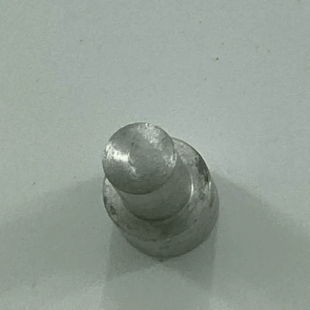 100343 PLUNGER