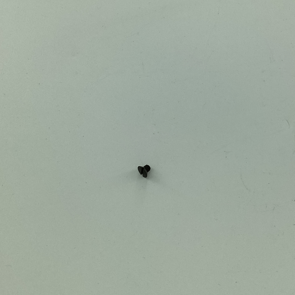 5431 SCREW