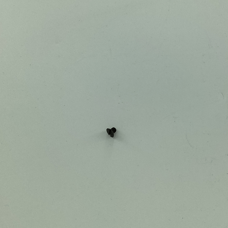 5431 SCREW
