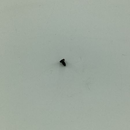 4313 SCREW