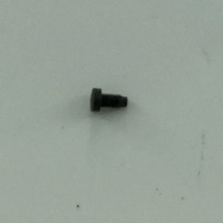 10-1031 SCREW