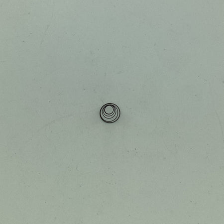 B-3149-123-000 BEEHIVE SPRING