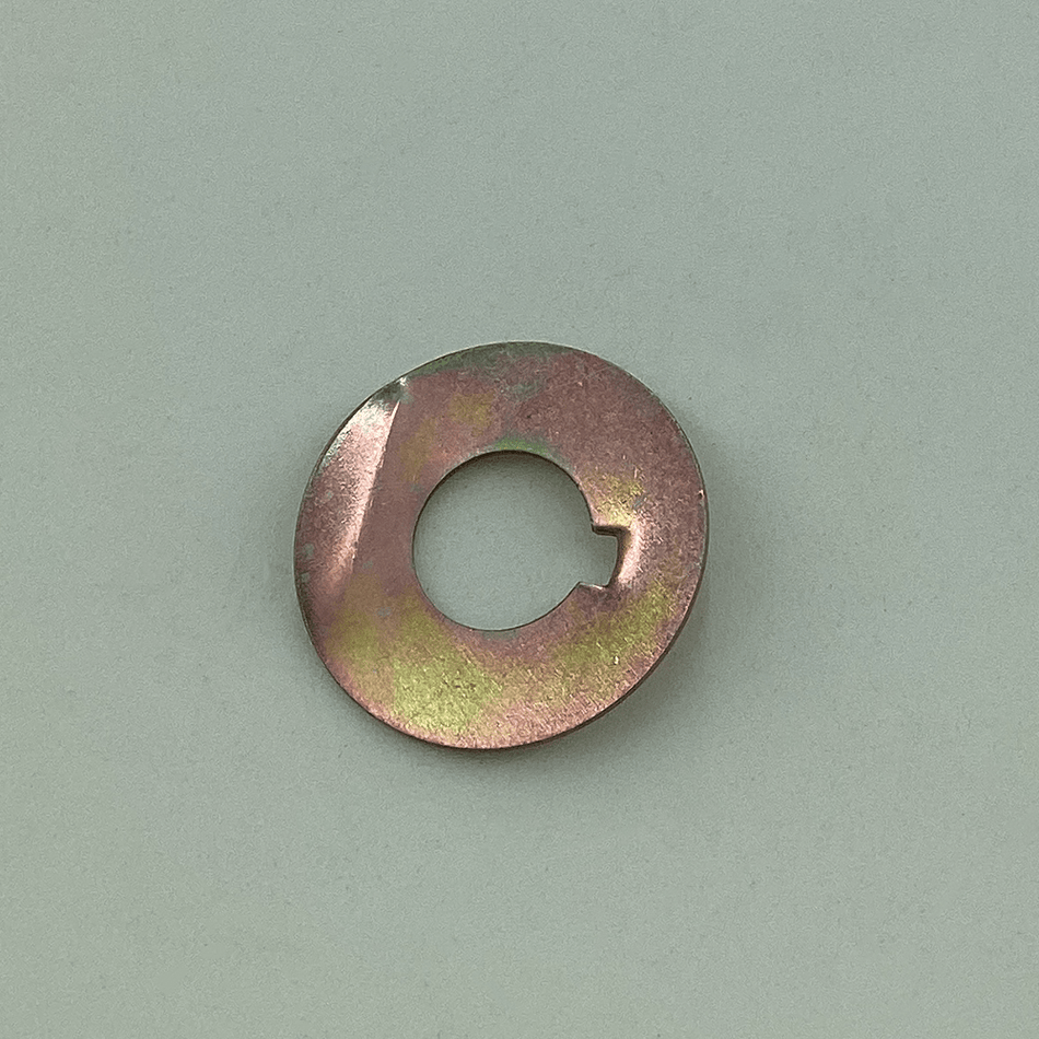 26 SPECIAL TONGUE WASHER