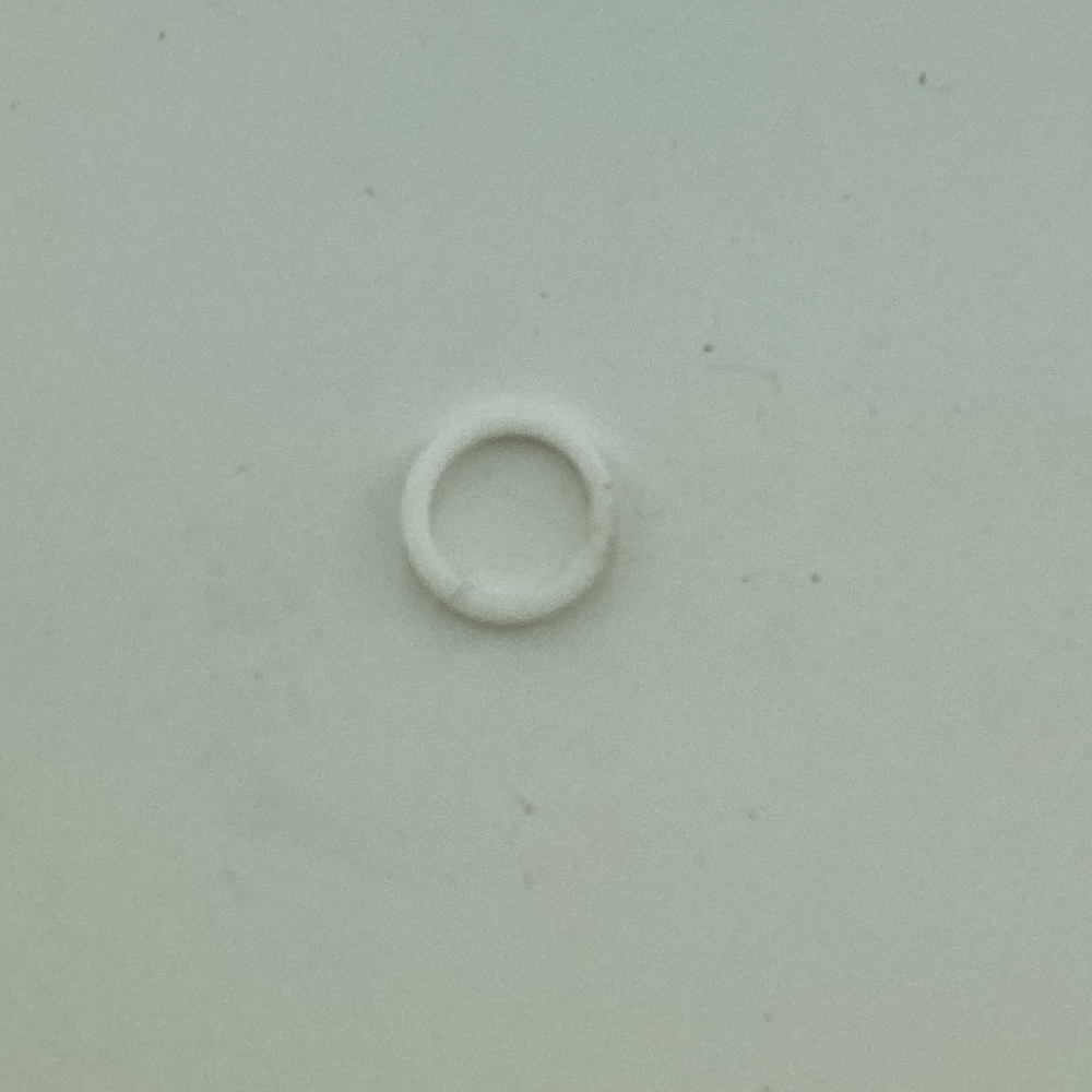 0999-220817 GUIDE RING