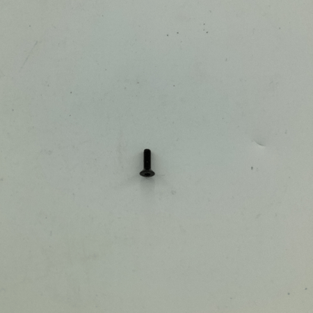9202-100131 SUNK SCREW