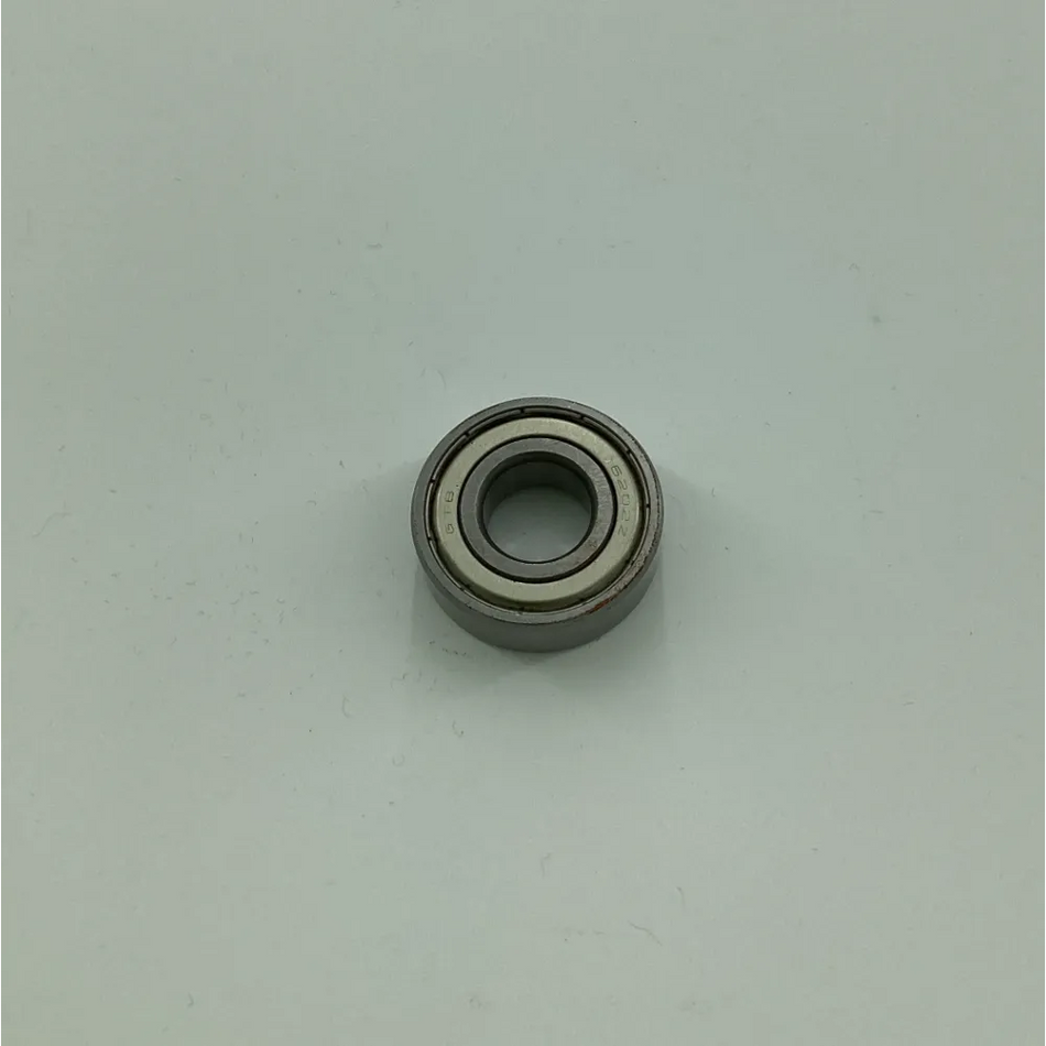 6202DS BEARING