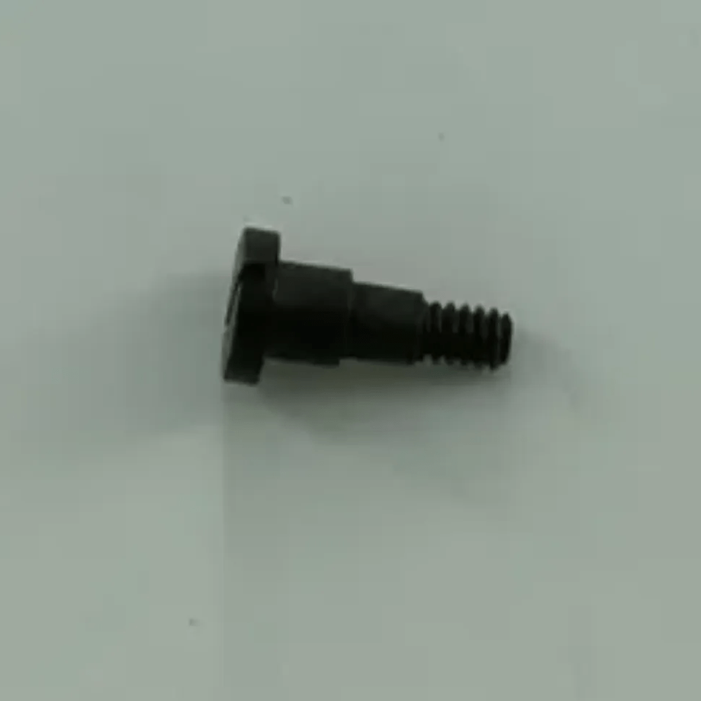 20C12-113 SCREW