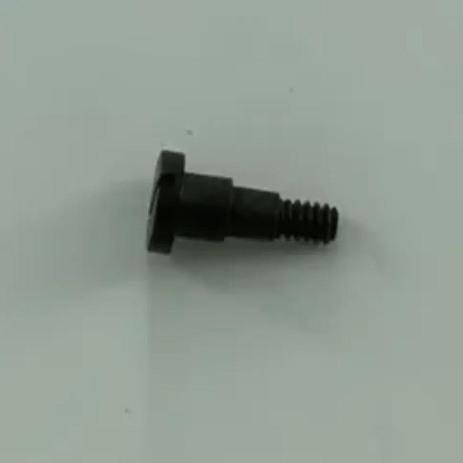 20C12-113 SCREW