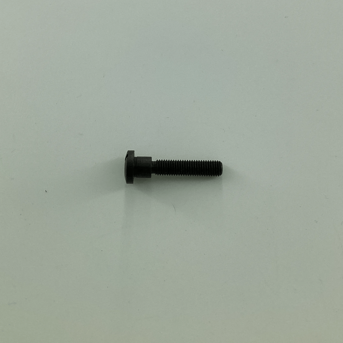 141449 SCREW