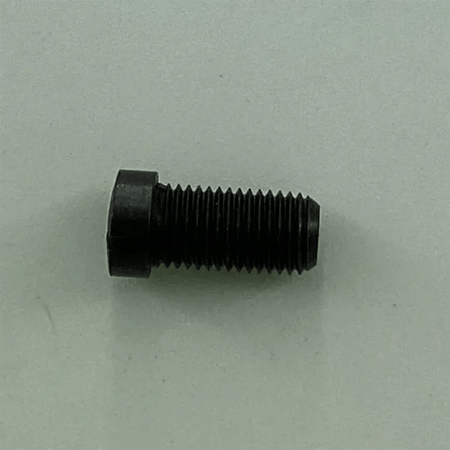 200043 SCREW