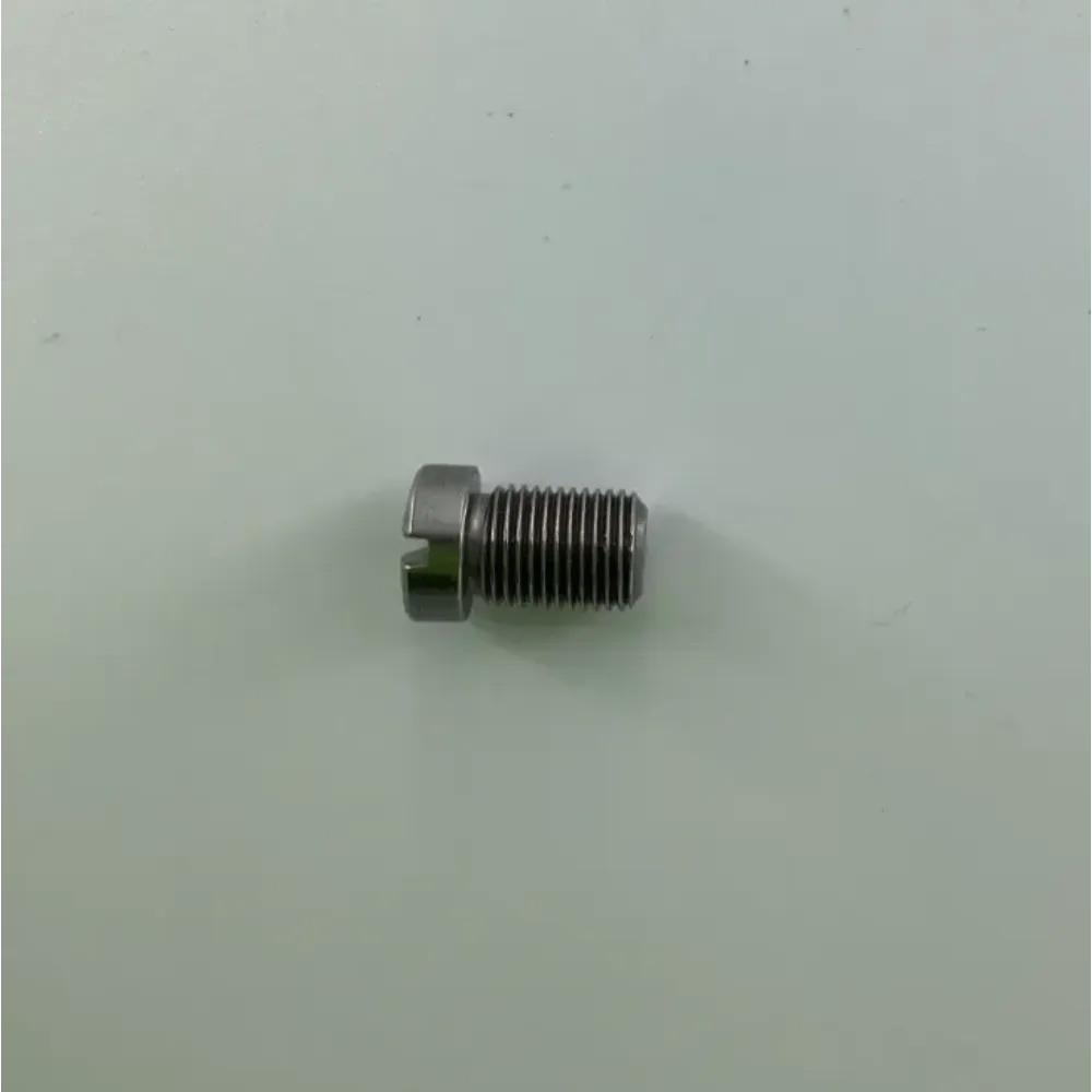 109522 SCREW