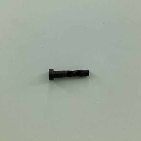 0170 SCREW