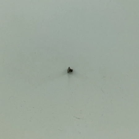 300601 RIVET