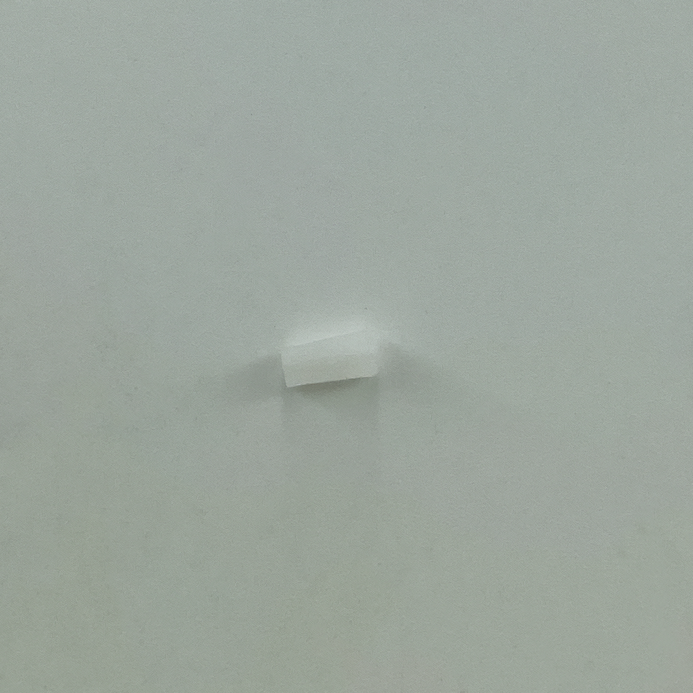 202903 PLUG