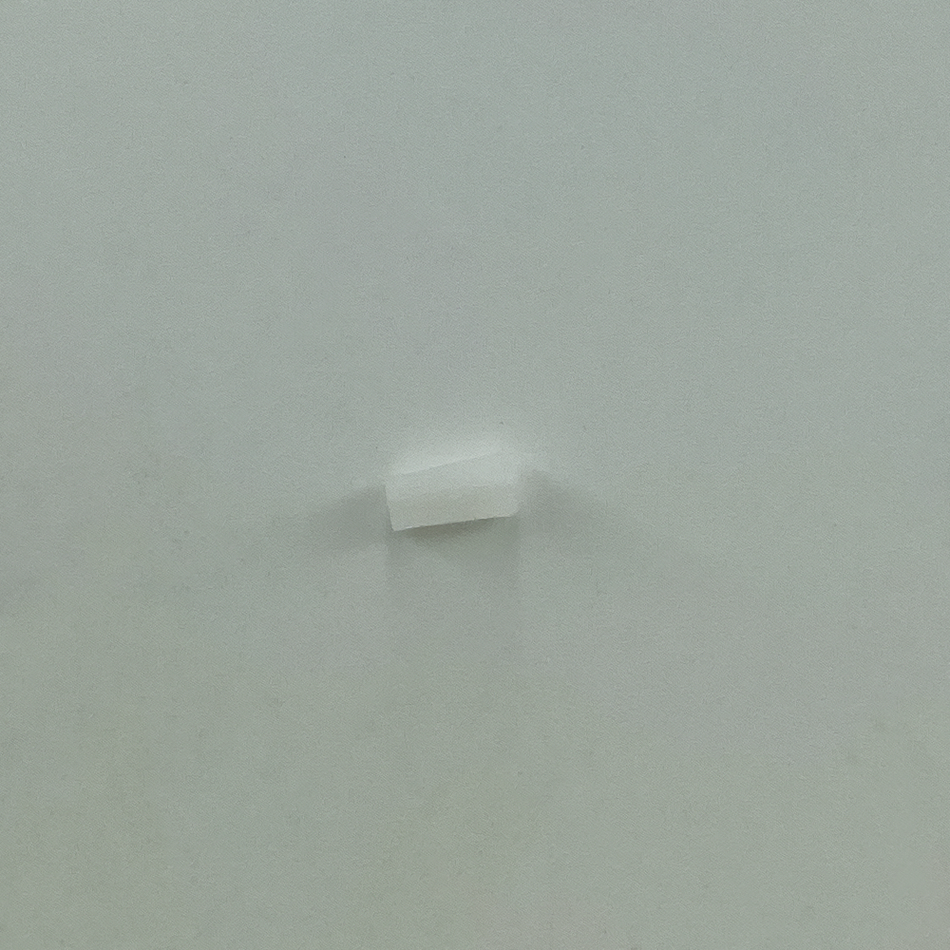 202903 PLUG