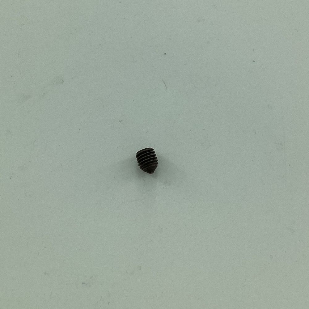 22894 SCREW