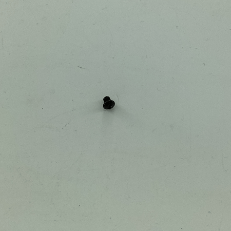 22825 SCREW