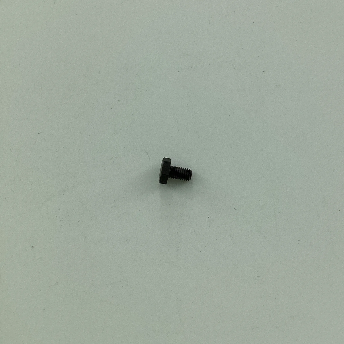 79048 SCREW