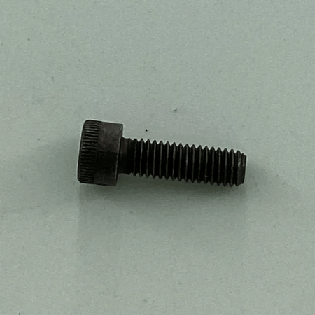 01000021 SCREW