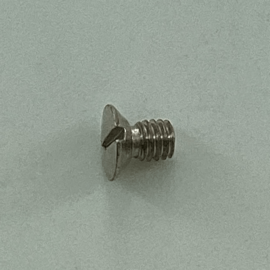 054119 NEEDLE PLATE SCREW